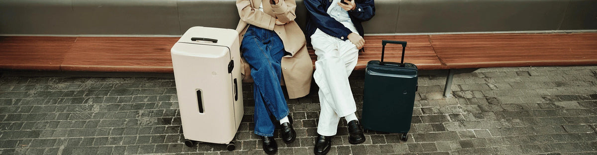 PISTACHIO striped luggage