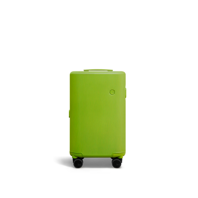 PISTACHIO 2 striped trunk Carry-On Luggage