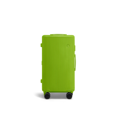 PISTACHIO 2 striped trunk Check-In Luggage