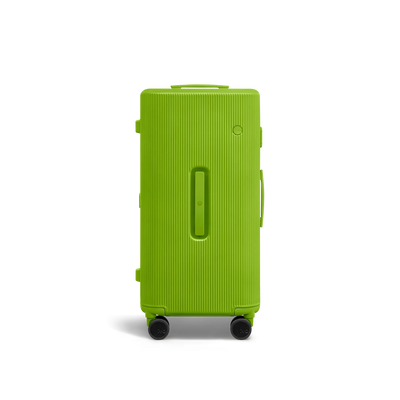 PISTACHIO 2 striped trunk Check-In Medium Luggage