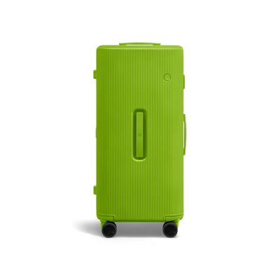 PISTACHIO 2 striped trunk Check-In Large Luggage