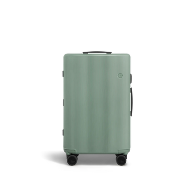 PISTACHIO striped Check-In Luggage