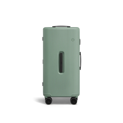 PISTACHIO striped trunk Check-In Medium Luggage