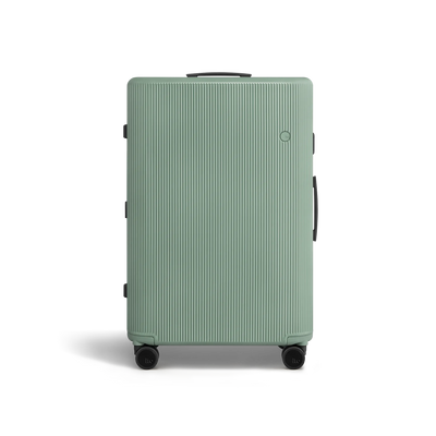 PISTACHIO striped Check-In Medium Luggage