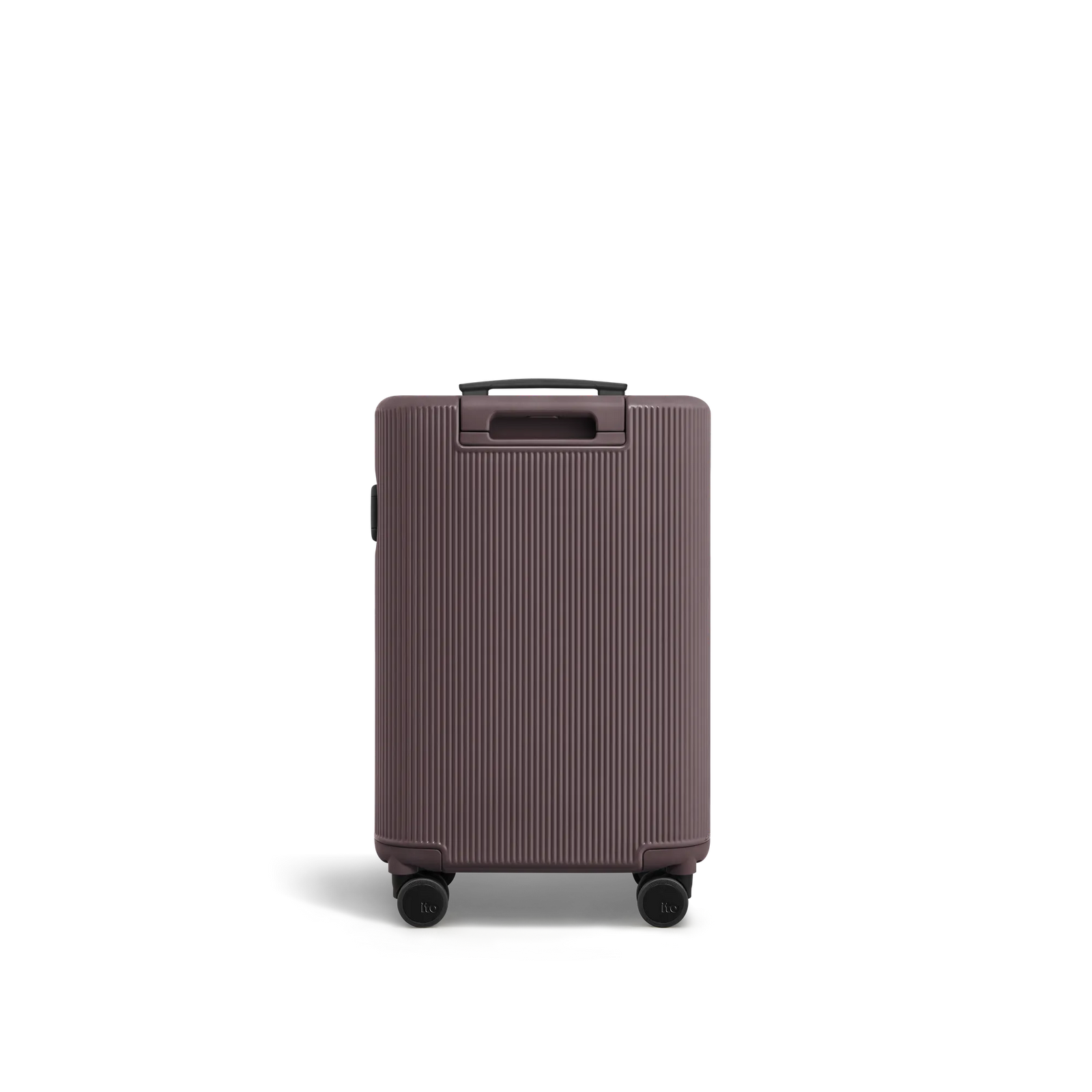 Palm Brown