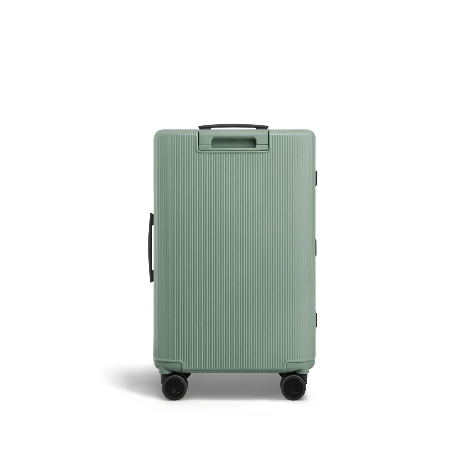 Bean Green