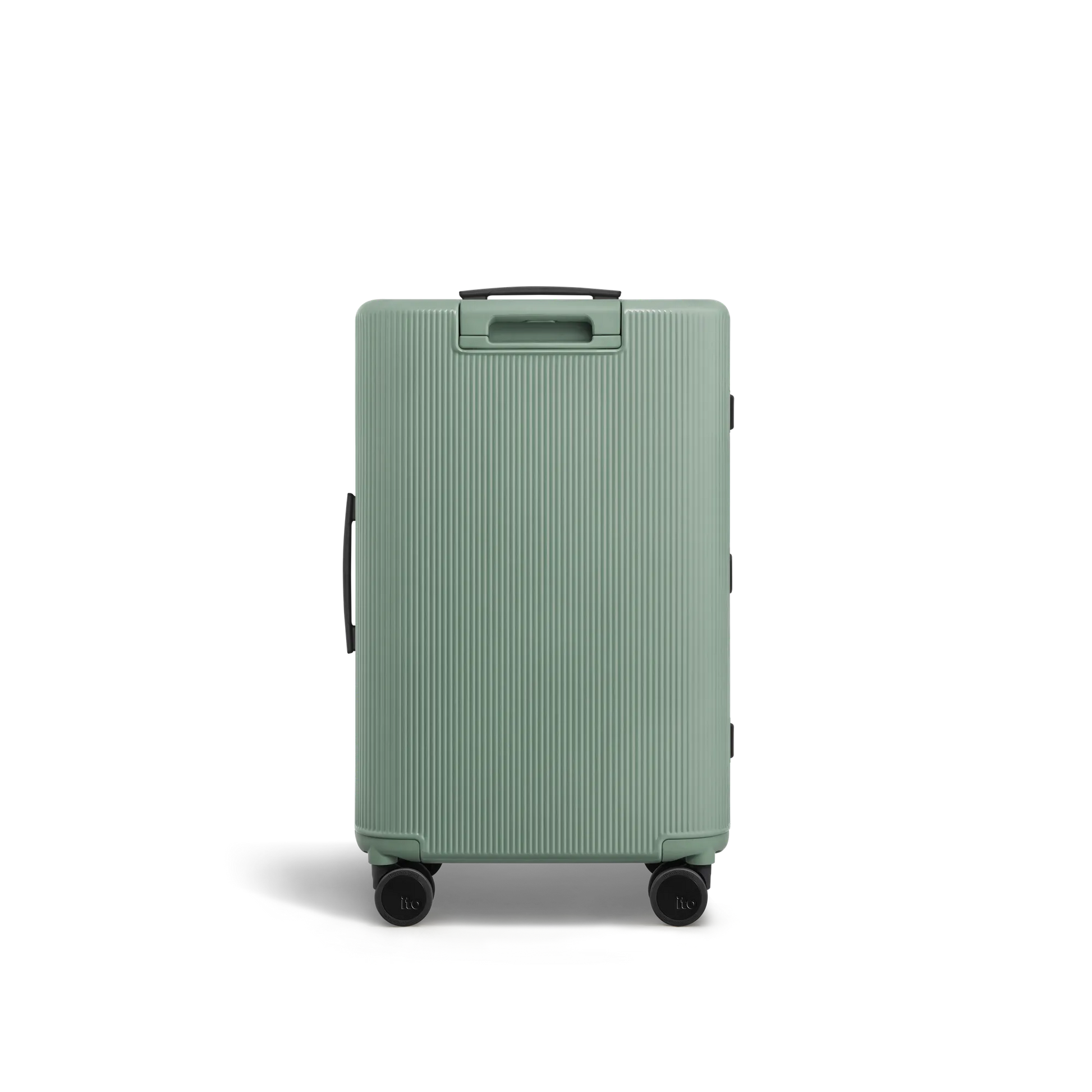 Bean Green