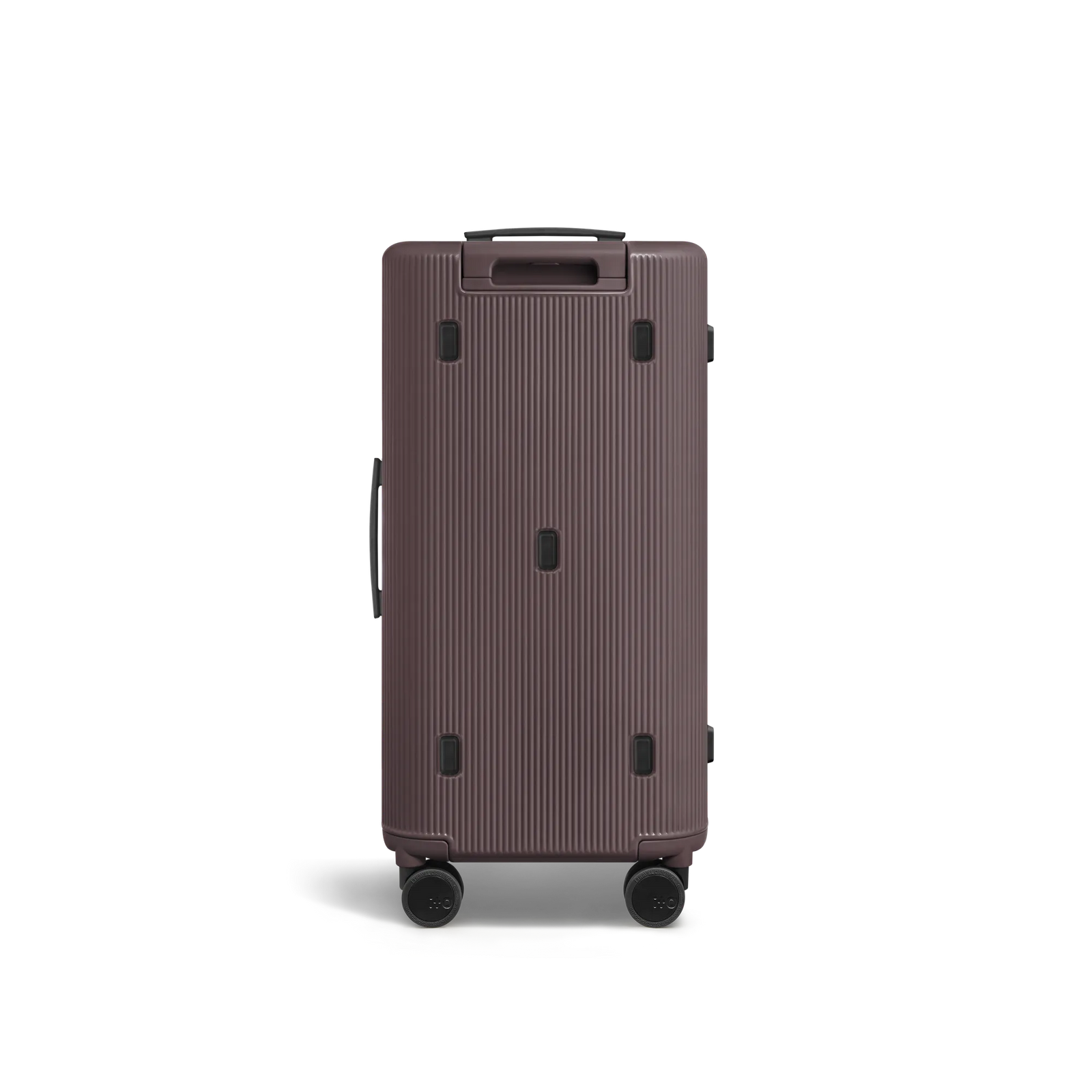 Palm Brown
