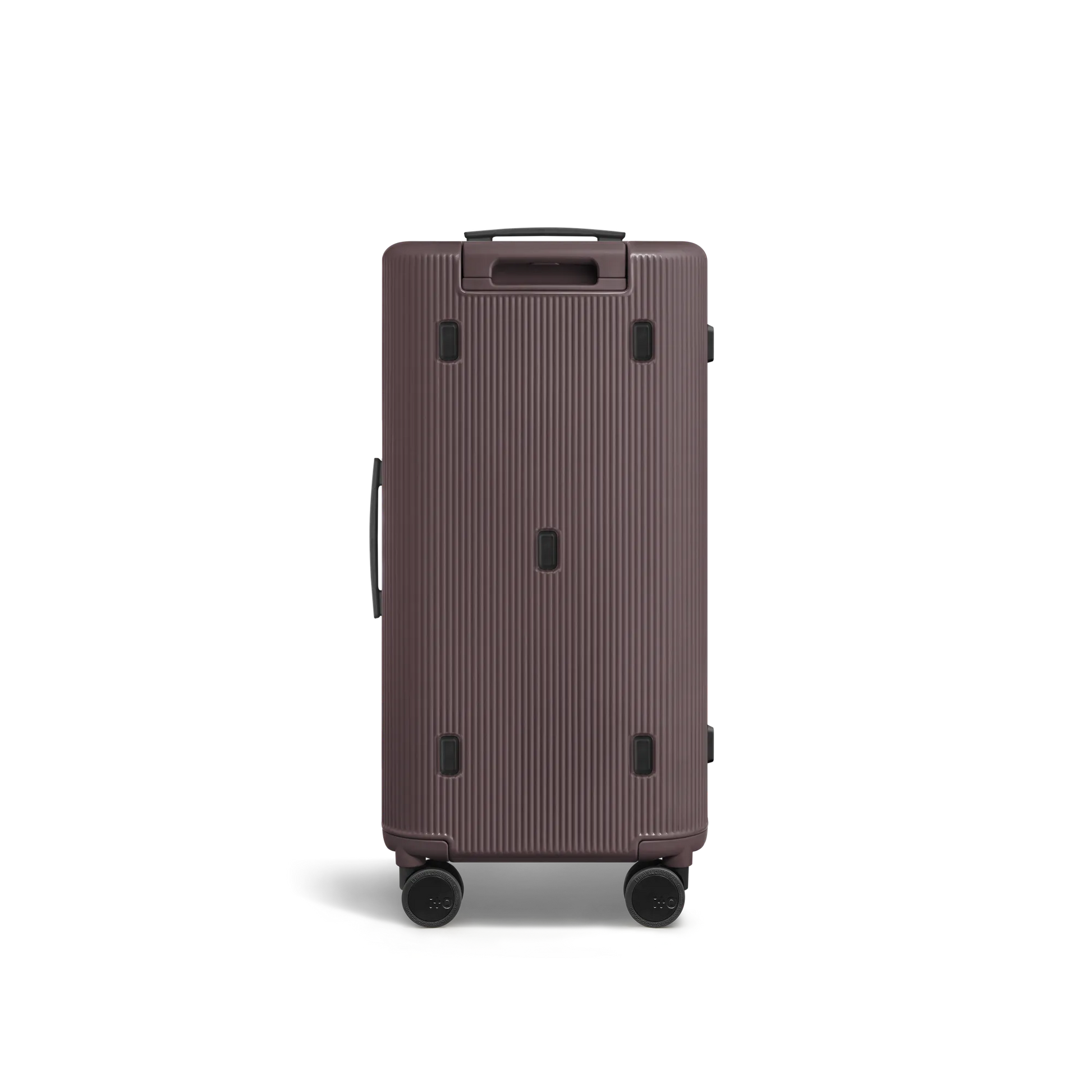 Palm Brown