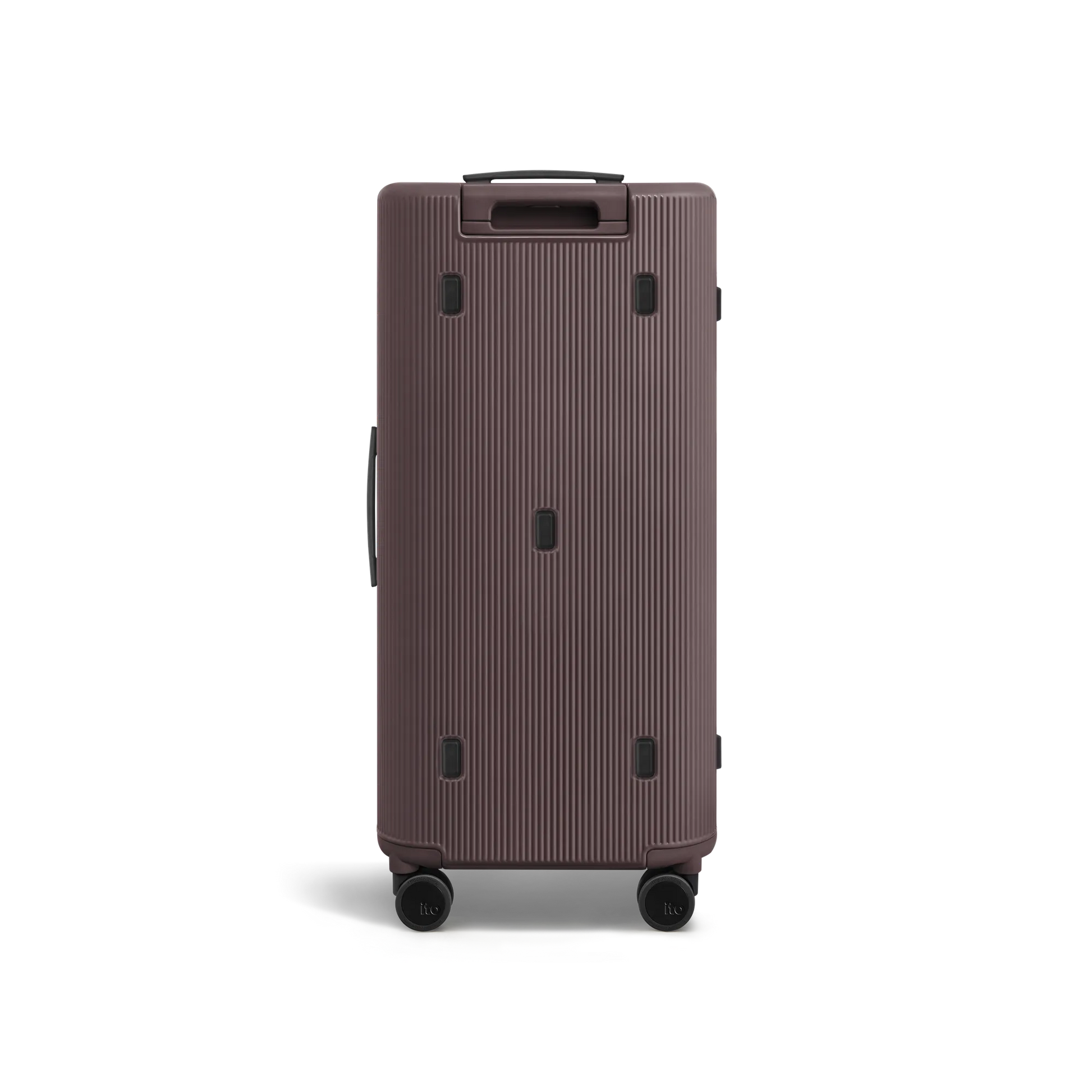 Palm Brown