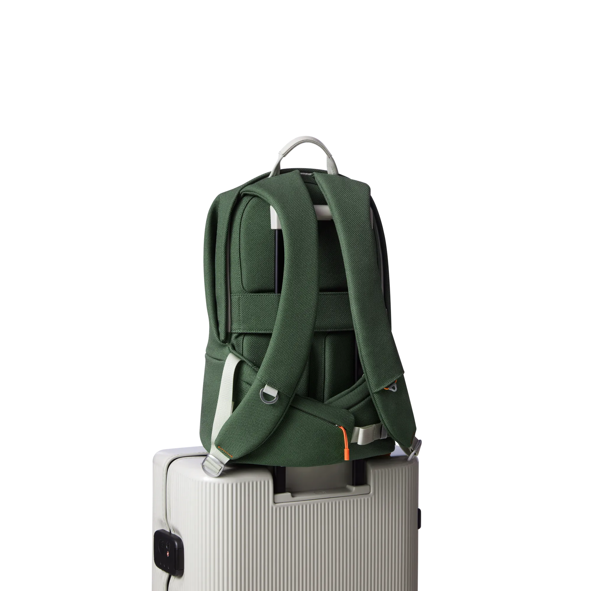 MONTANIC GREEN