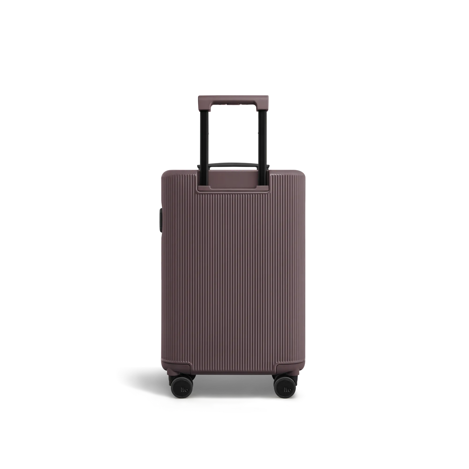 Palm Brown
