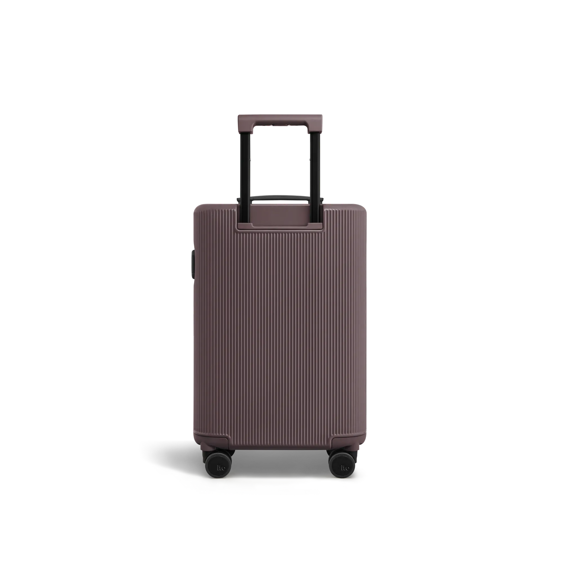 Palm Brown
