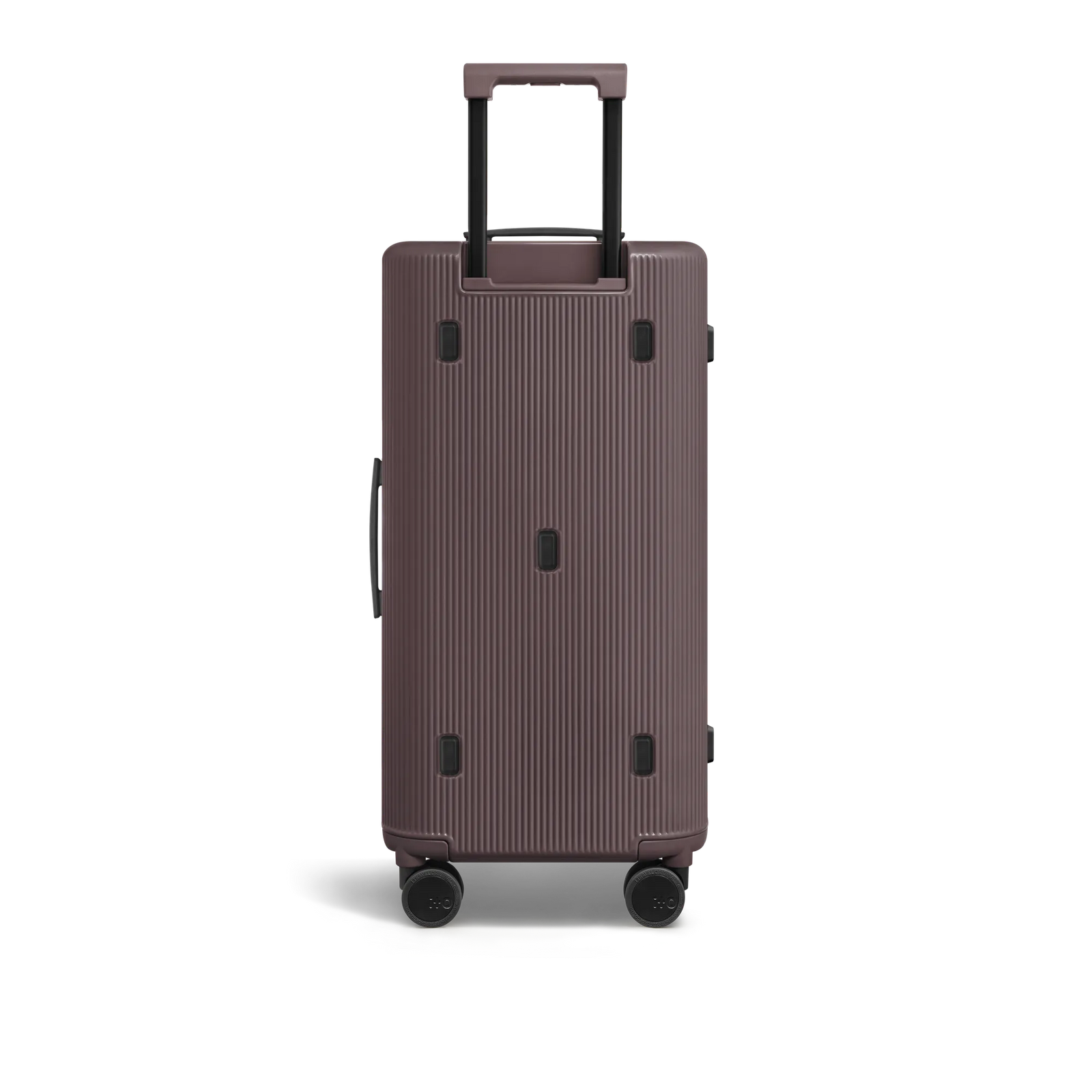 Palm Brown