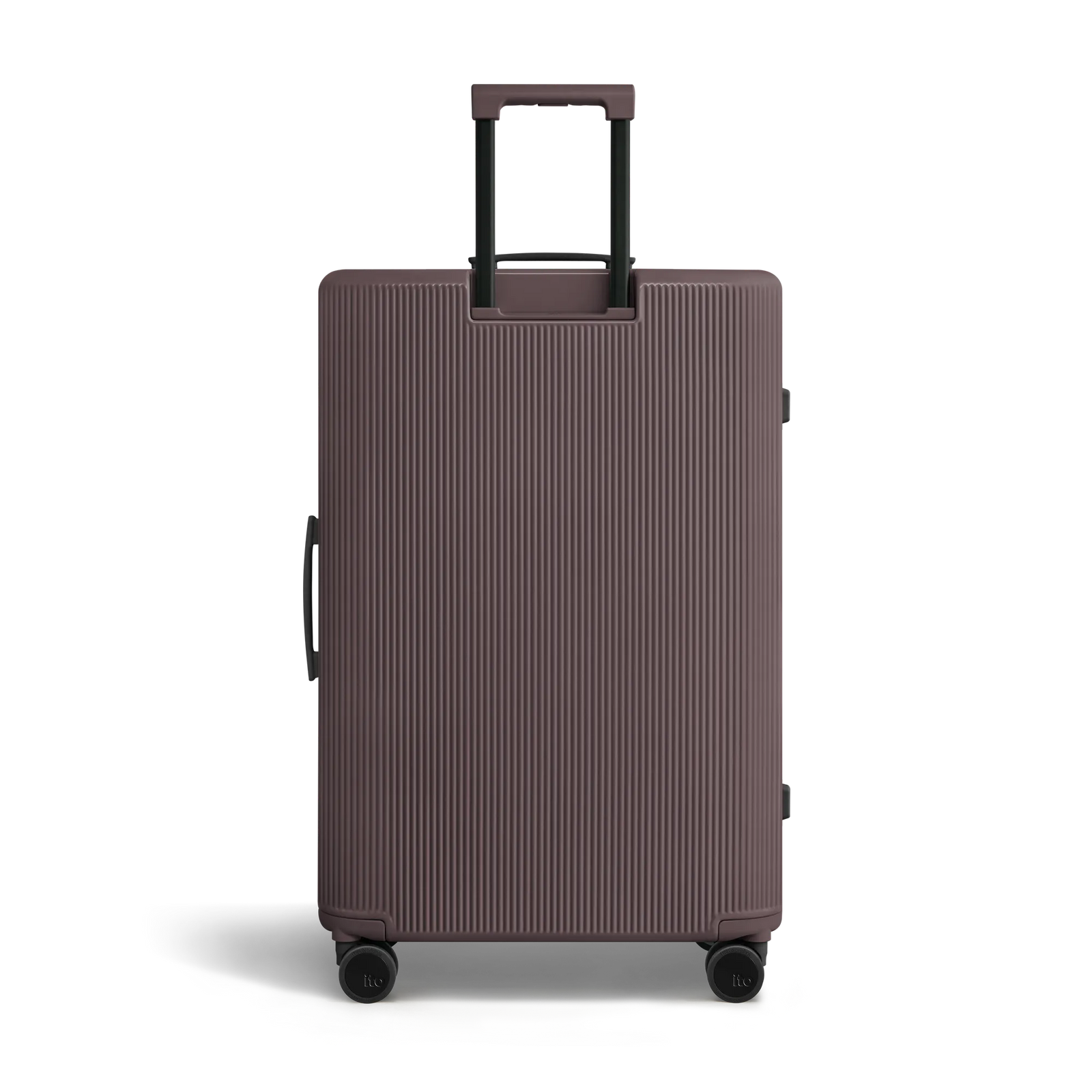 Palm Brown