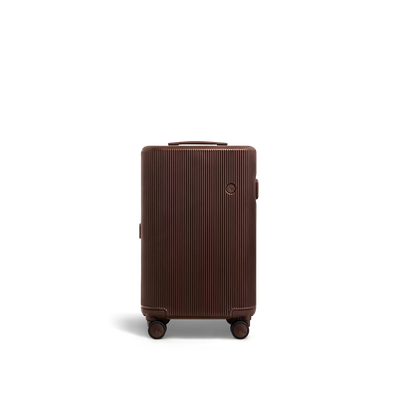 PISTACHIO 2 striped trunk Carry-On Luggage 26AW Limited Edition