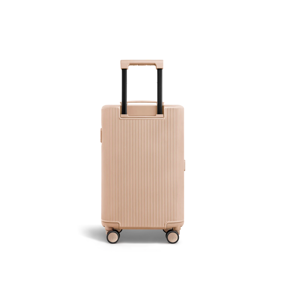 Amber Pink
