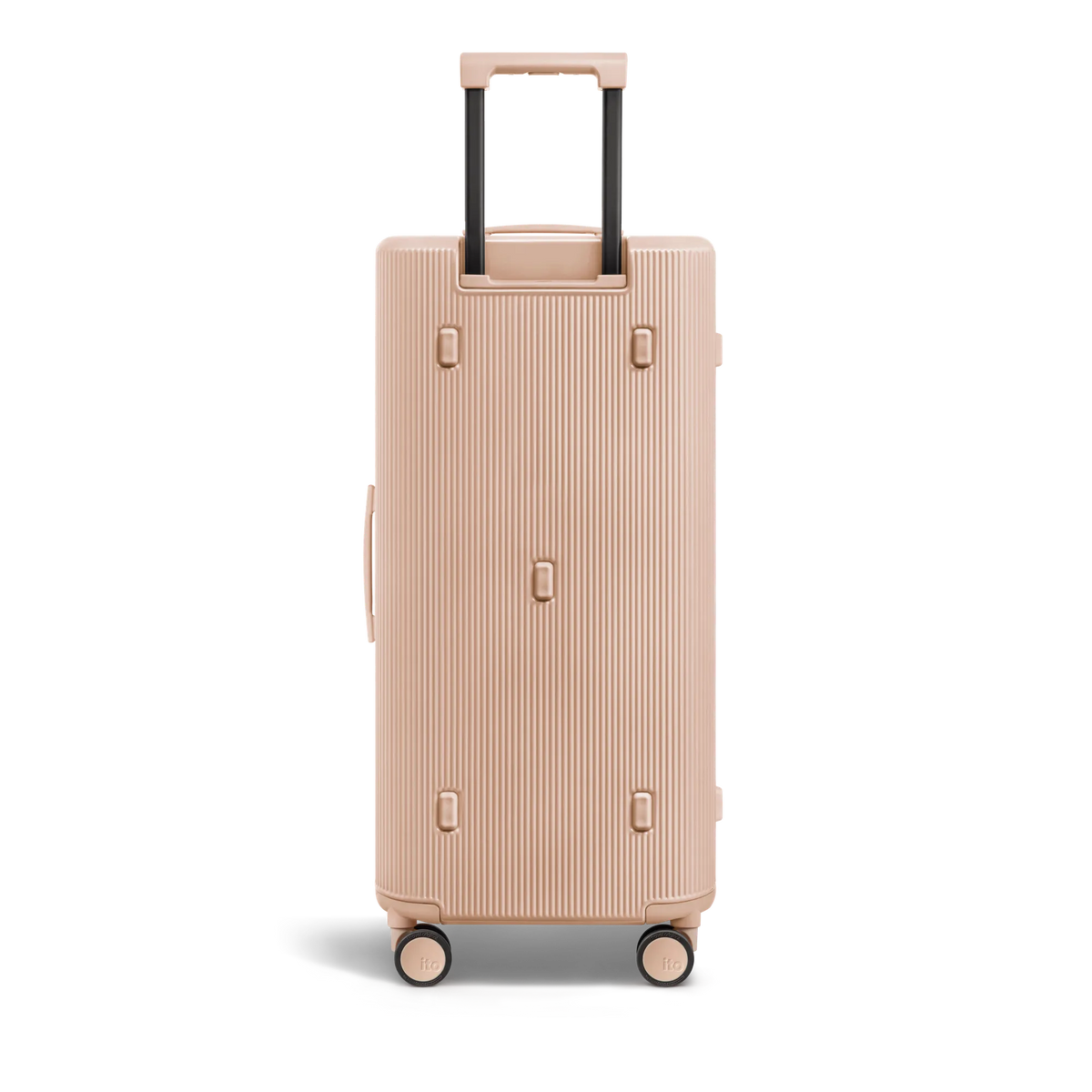 Amber Pink
