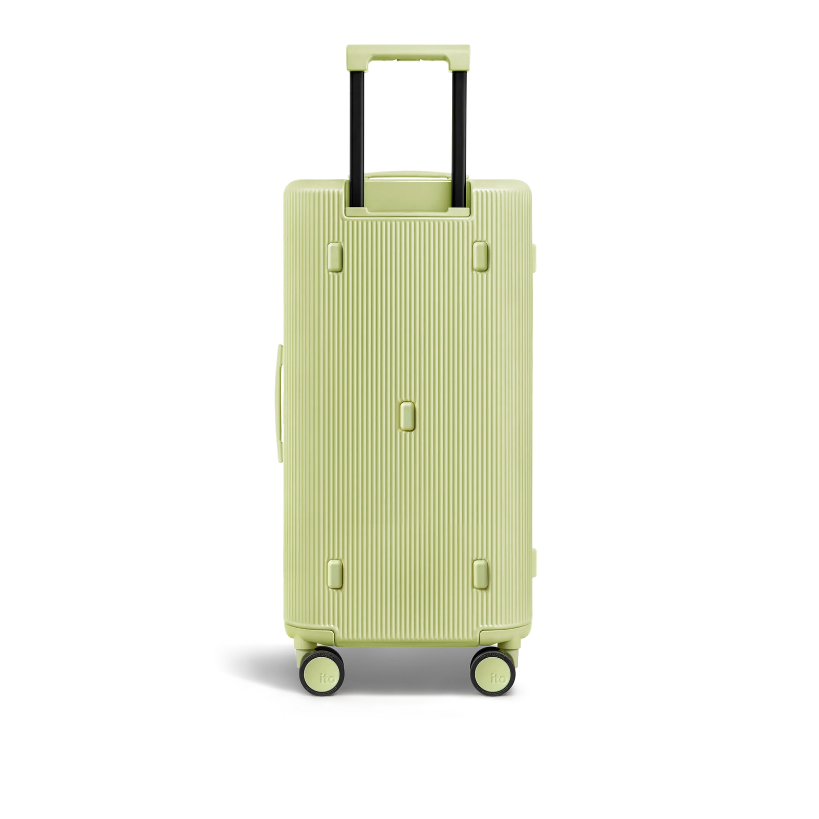 Fizzy Green