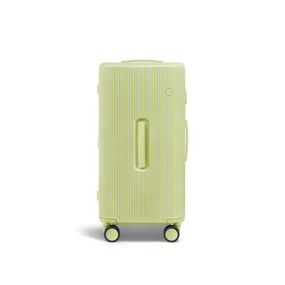 PISTACHIO 2 striped trunk Check-In Medium Luggage 26SS Limited Edition