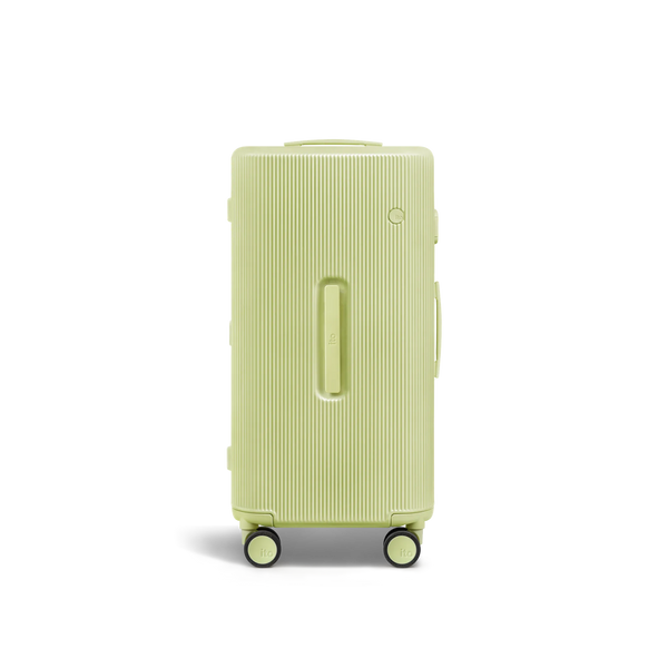 PISTACHIO 2 striped trunk Check-In Medium Luggage 26SS