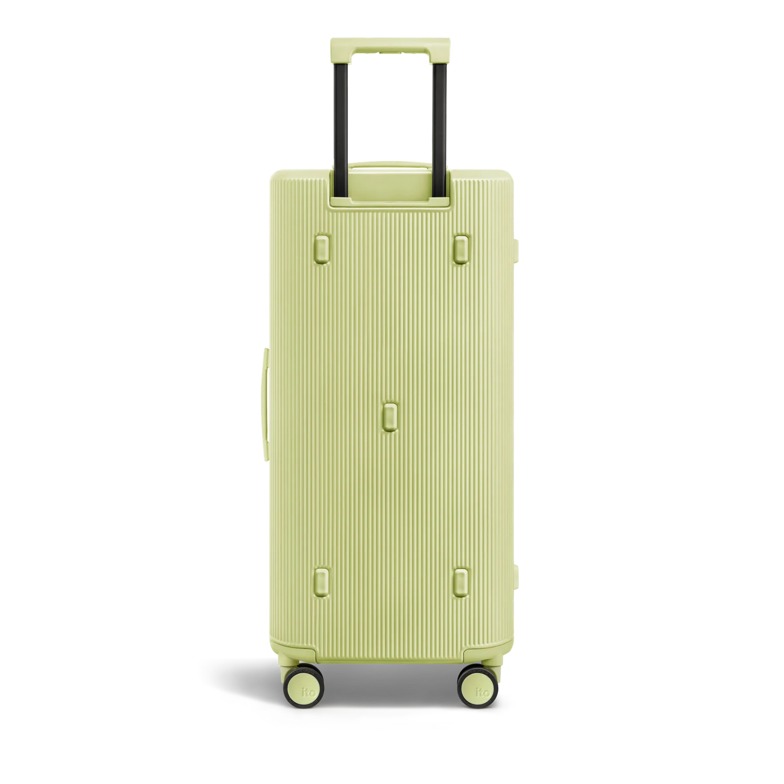 Fizzy Green