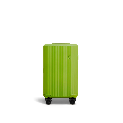 PISTACHIO 2 striped trunk Carry-On Luggage