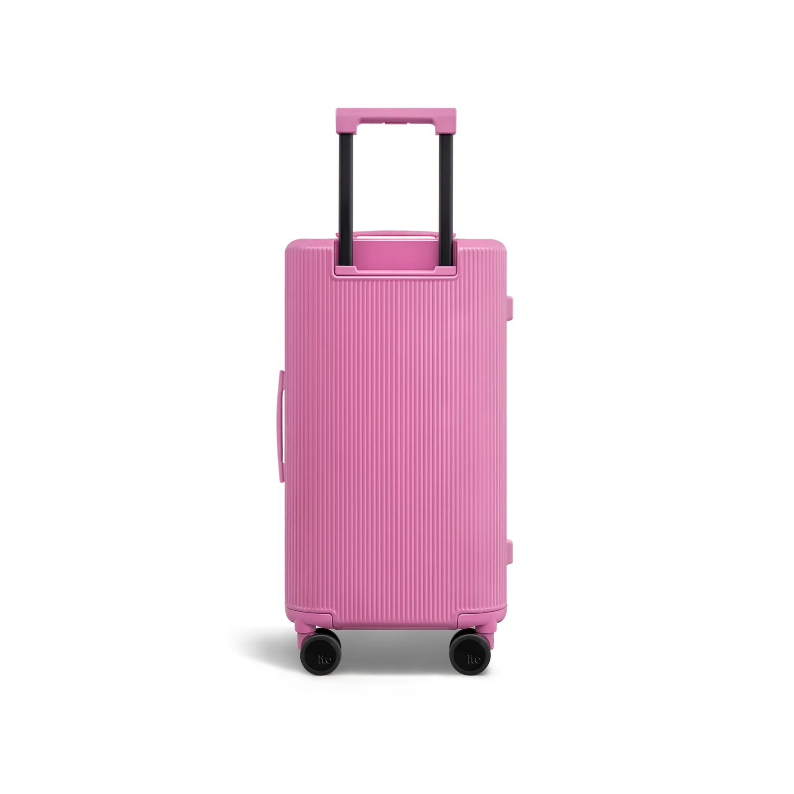 Fairyland Pink