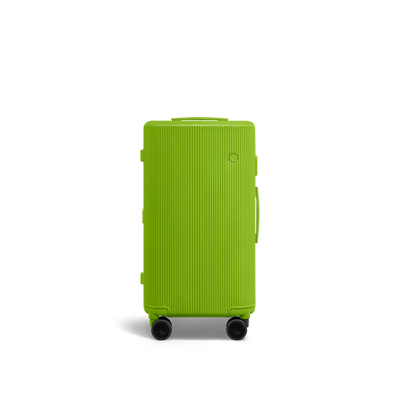 PISTACHIO 2 striped trunk Check-In Luggage