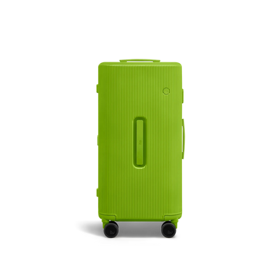 PISTACHIO 2 striped trunk Check-In Medium Luggage
