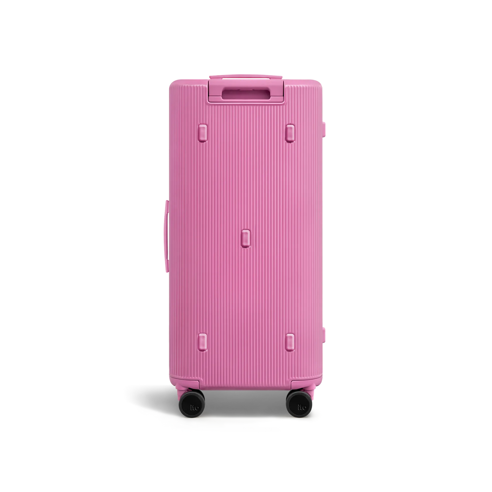 Fairyland Pink