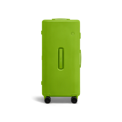 PISTACHIO 2 striped trunk Check-In Large Luggage