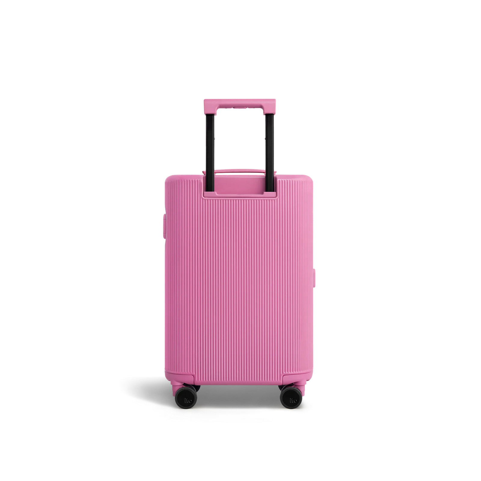 Fairyland Pink