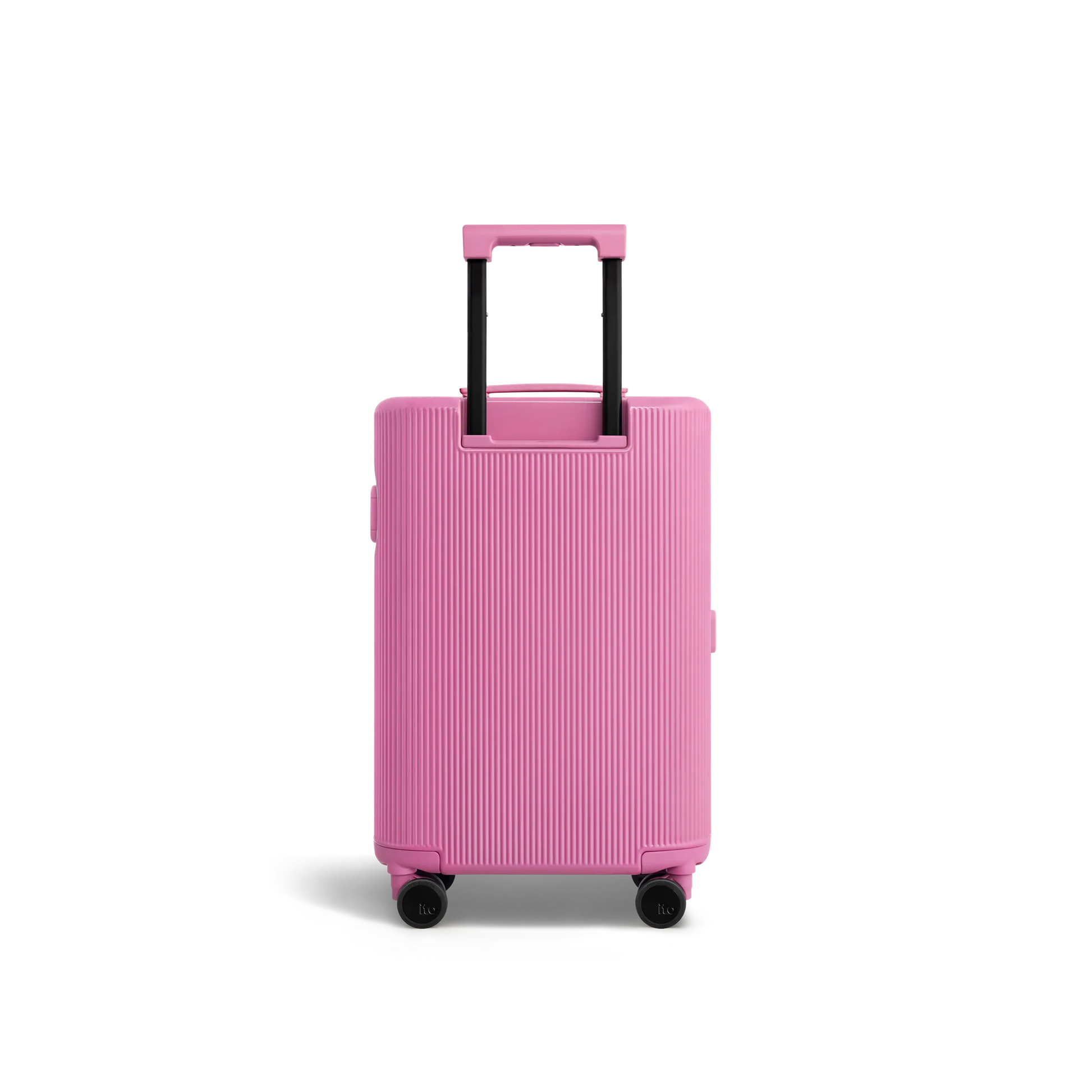 Fairyland Pink