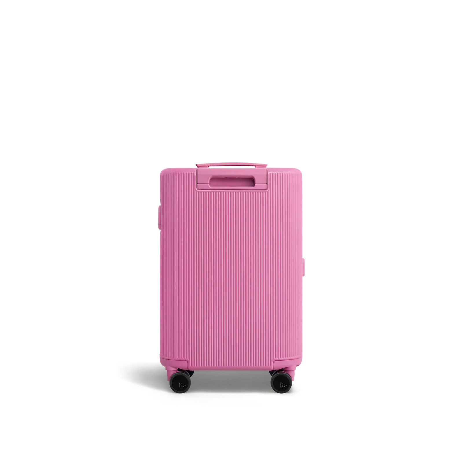 Fairyland Pink