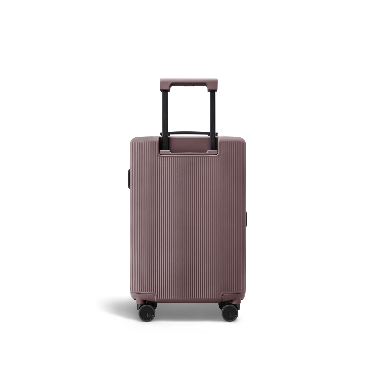 Palm Brown