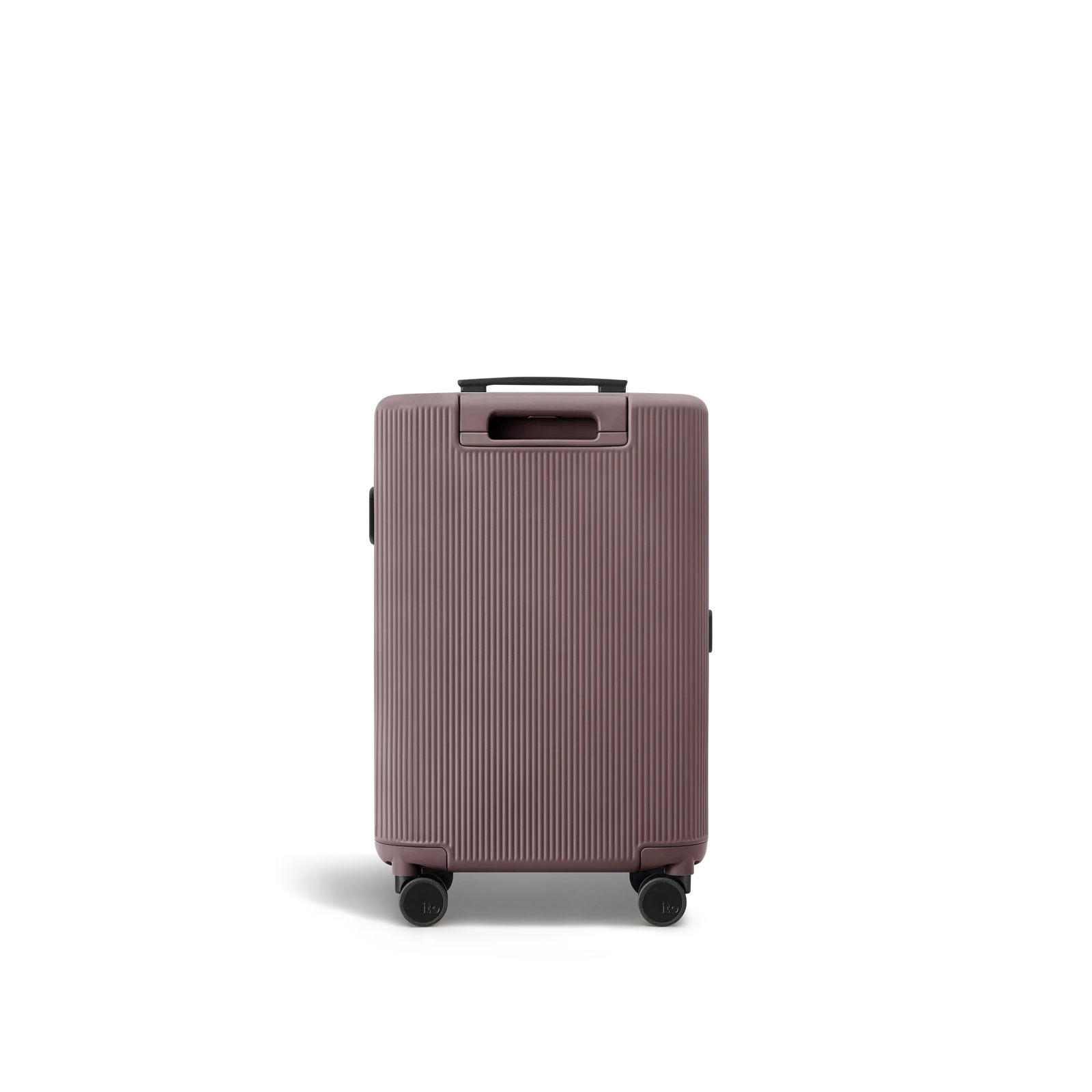 Palm Brown