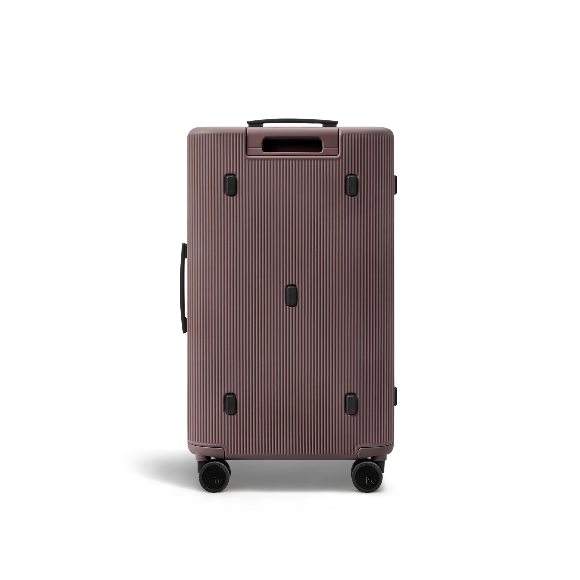 Palm Brown