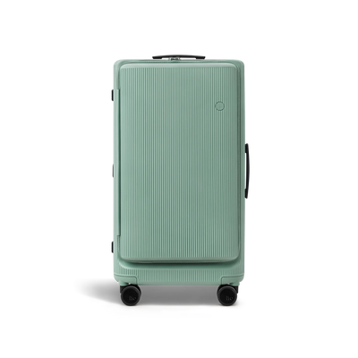 PISTACHIO plus striped trunk Check-In Large Luggage