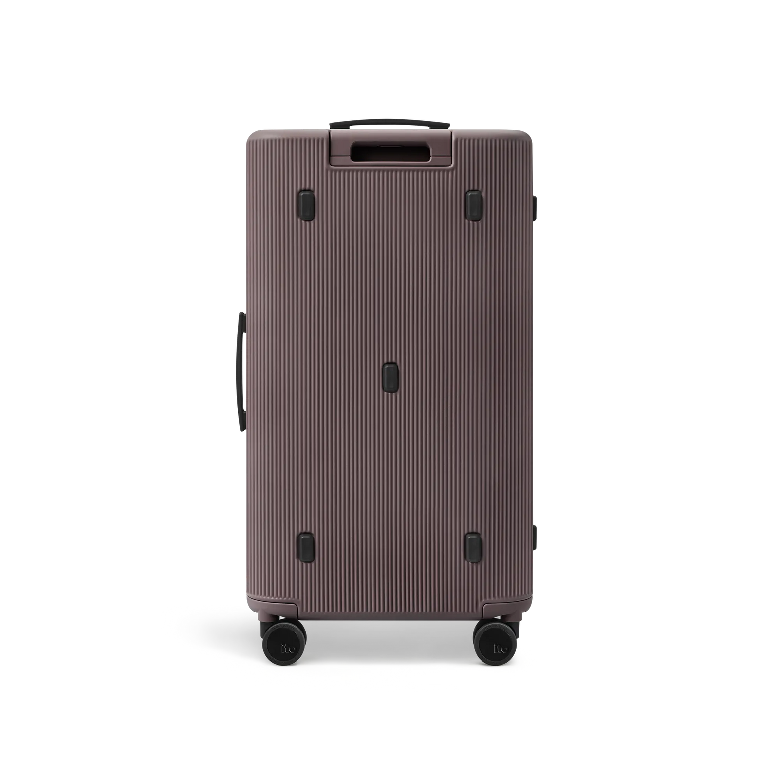 Palm Brown
