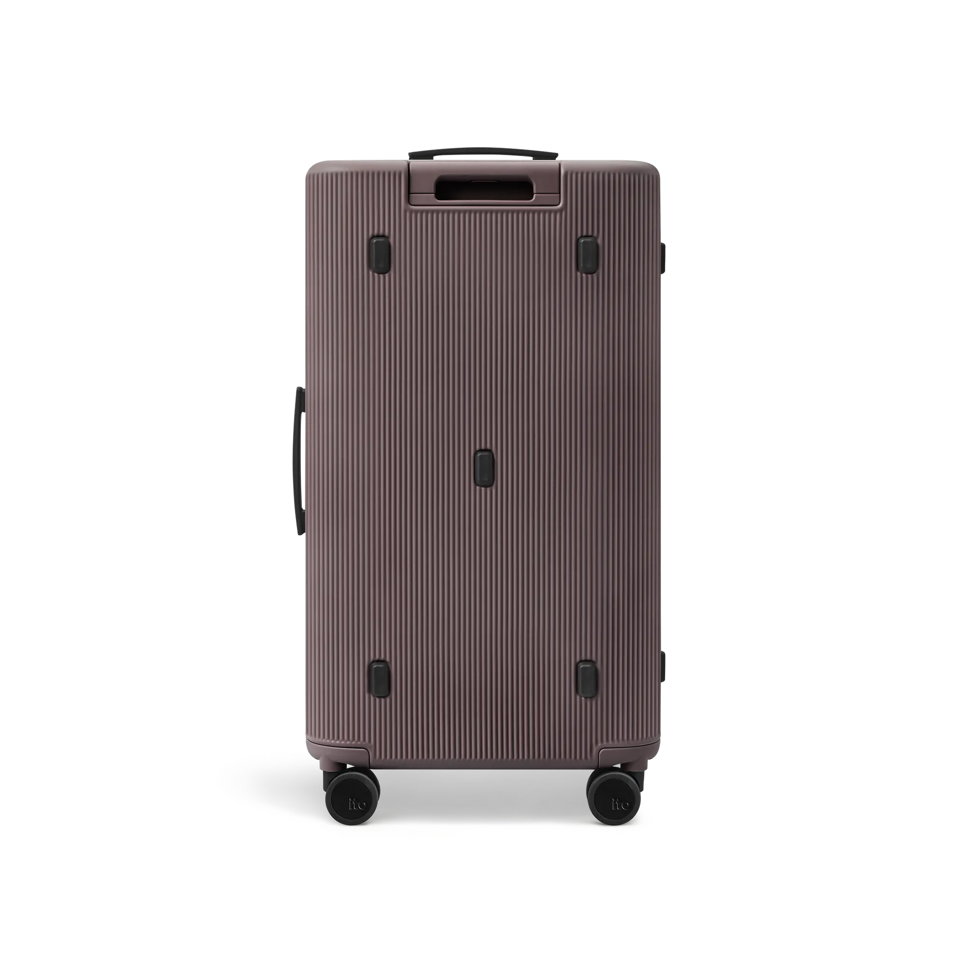 Palm Brown