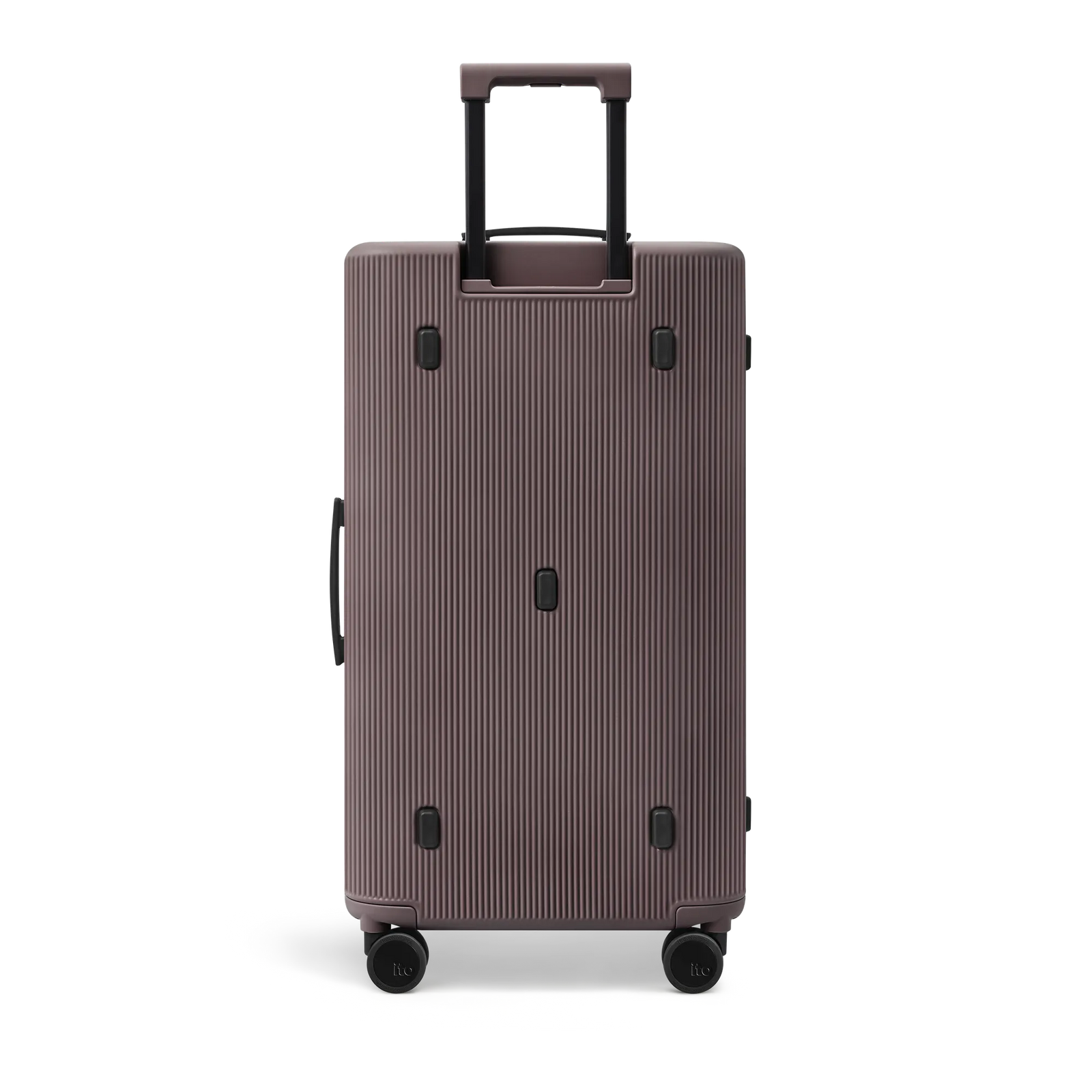 Palm Brown