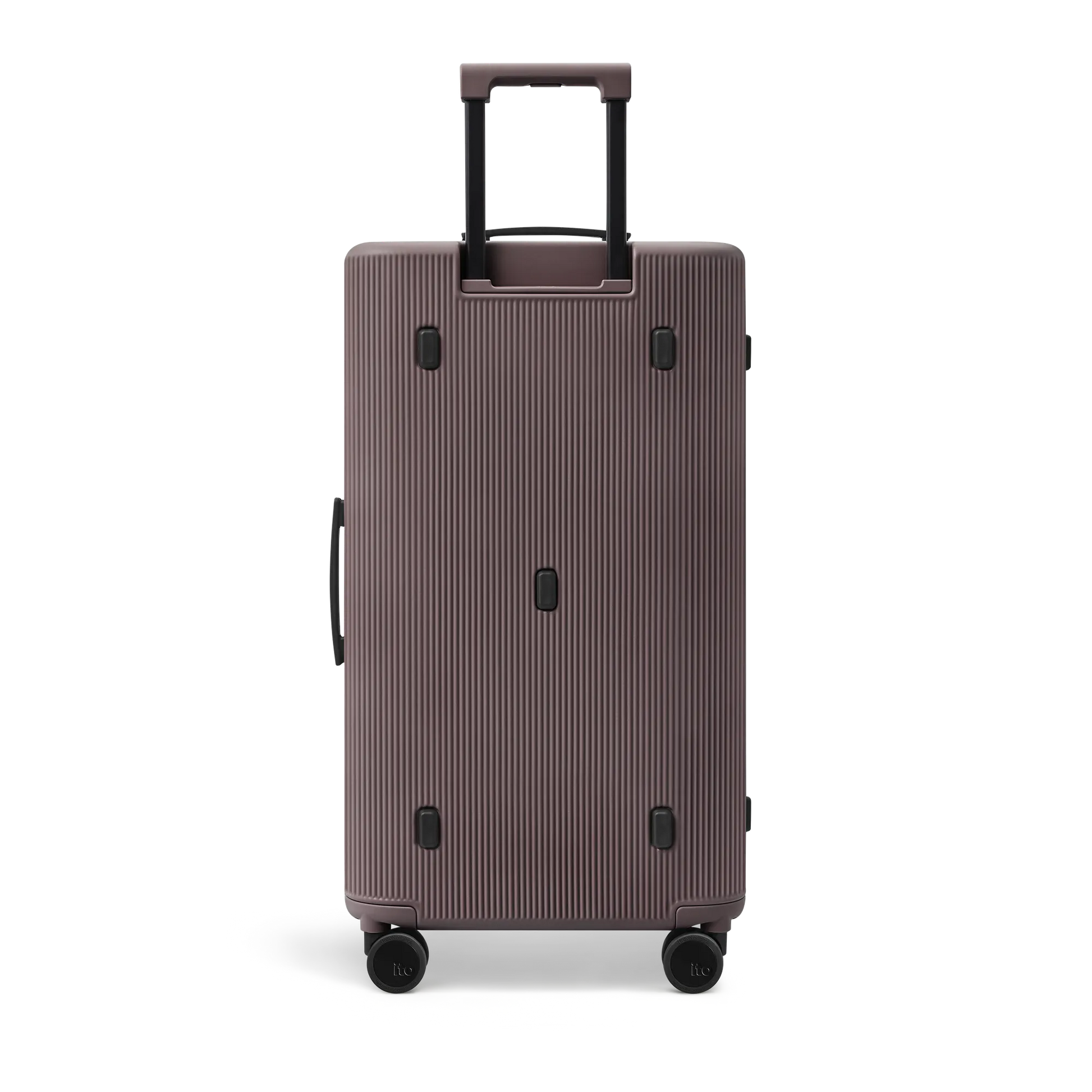 Palm Brown