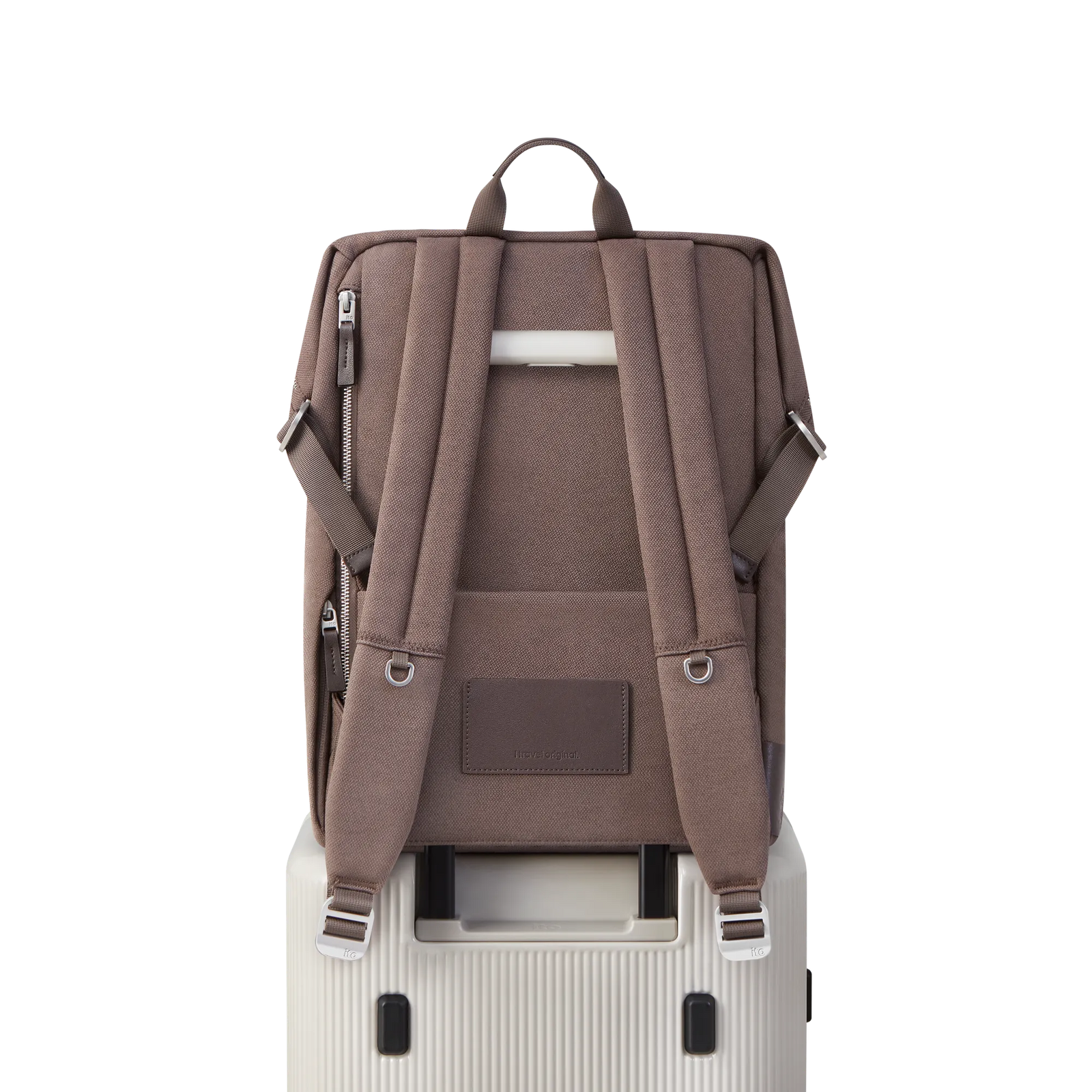 Palm Brown