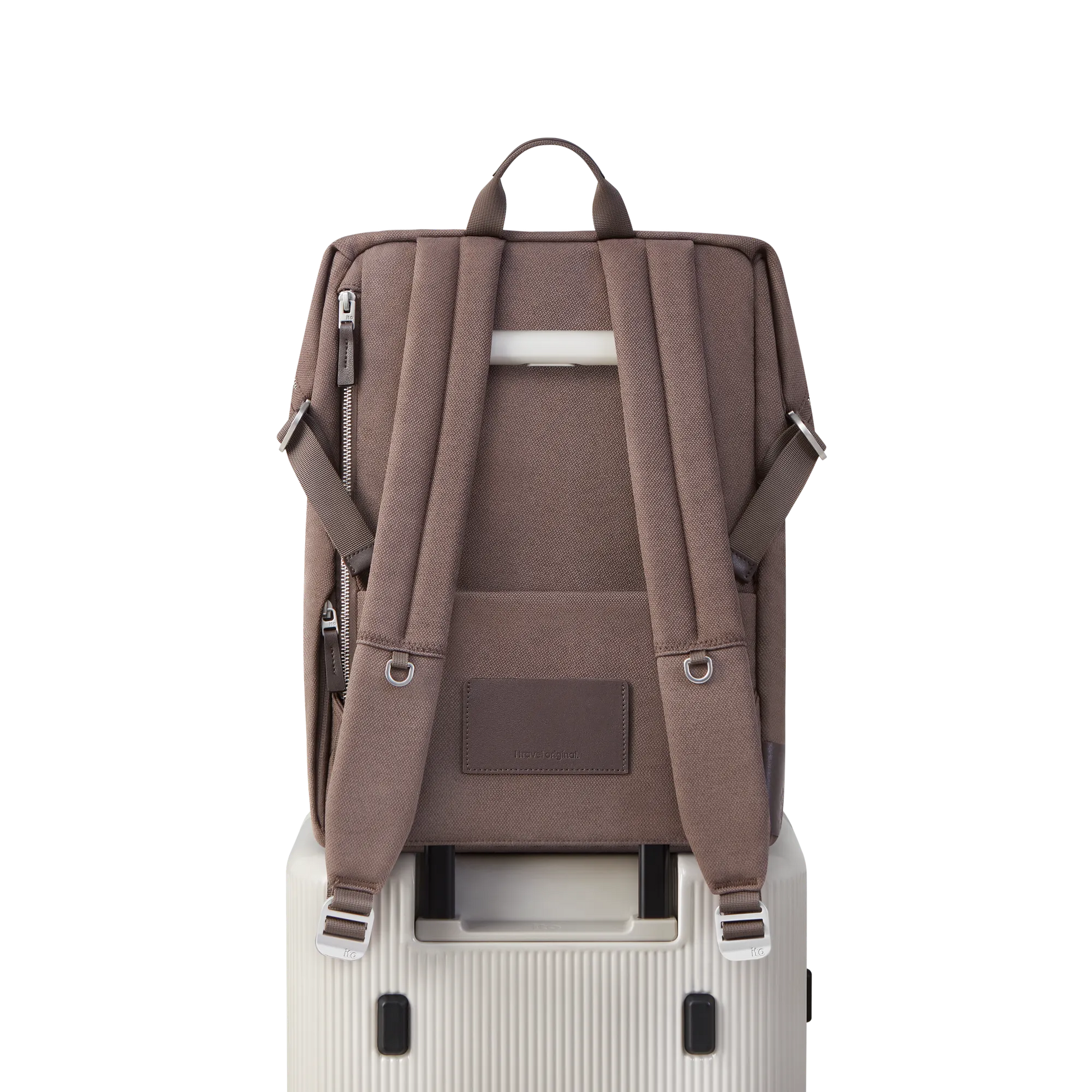 Palm Brown