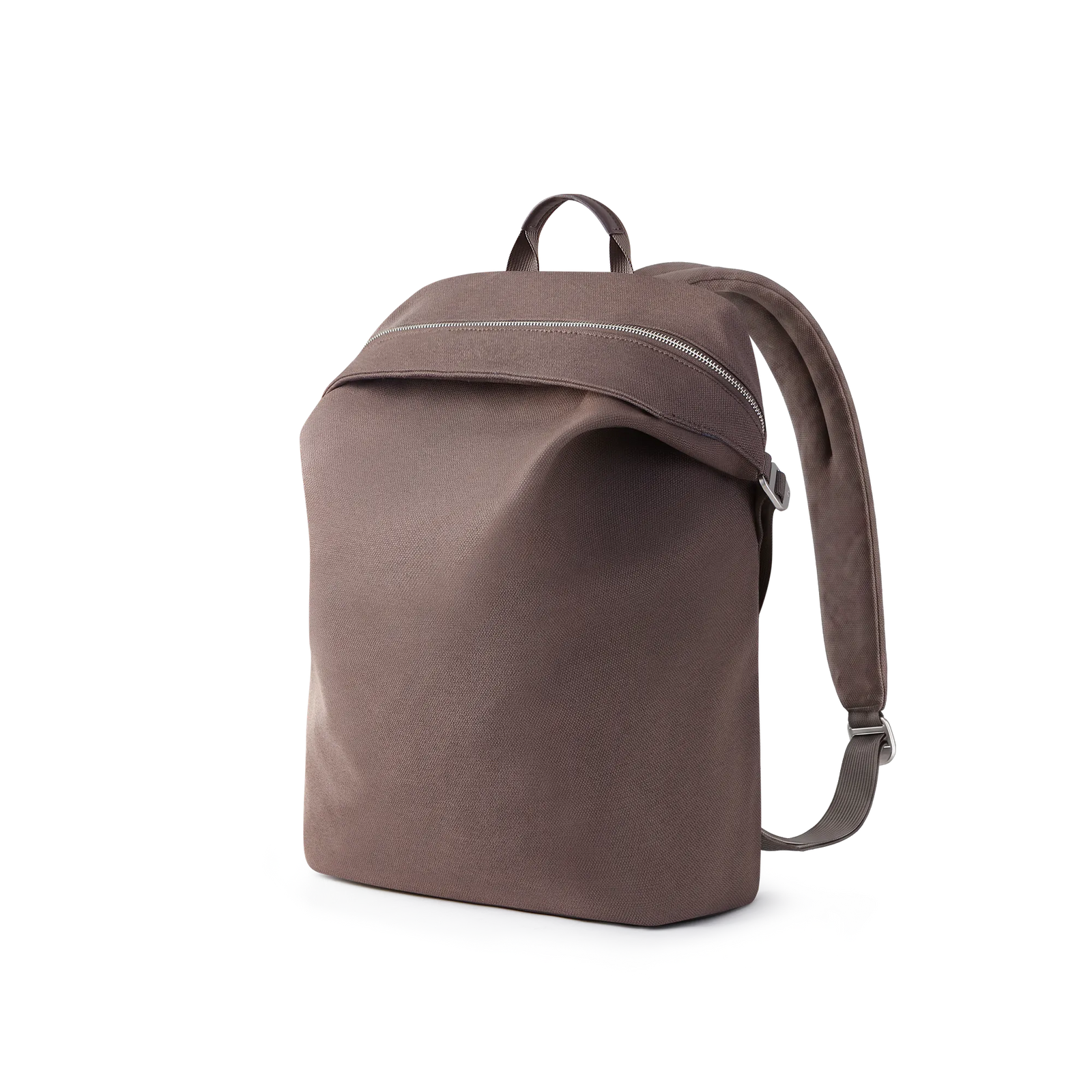 Palm Brown