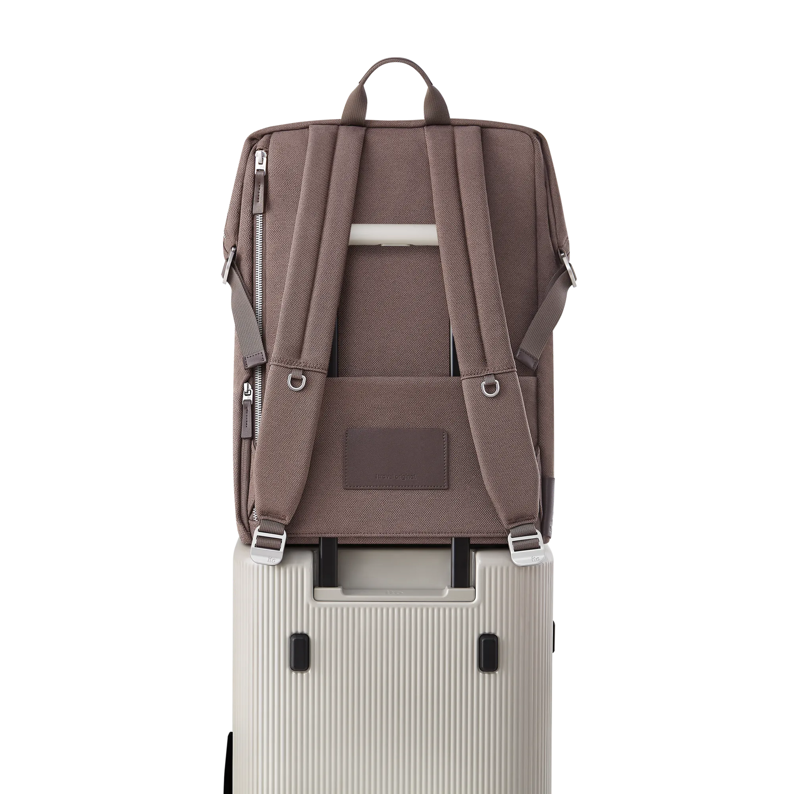 Palm Brown
